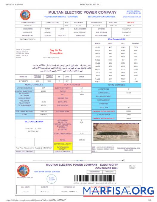 Realistic PAKISTAN MULTAN ELECTRIC POWER utility bill Word and PDF template, version 2